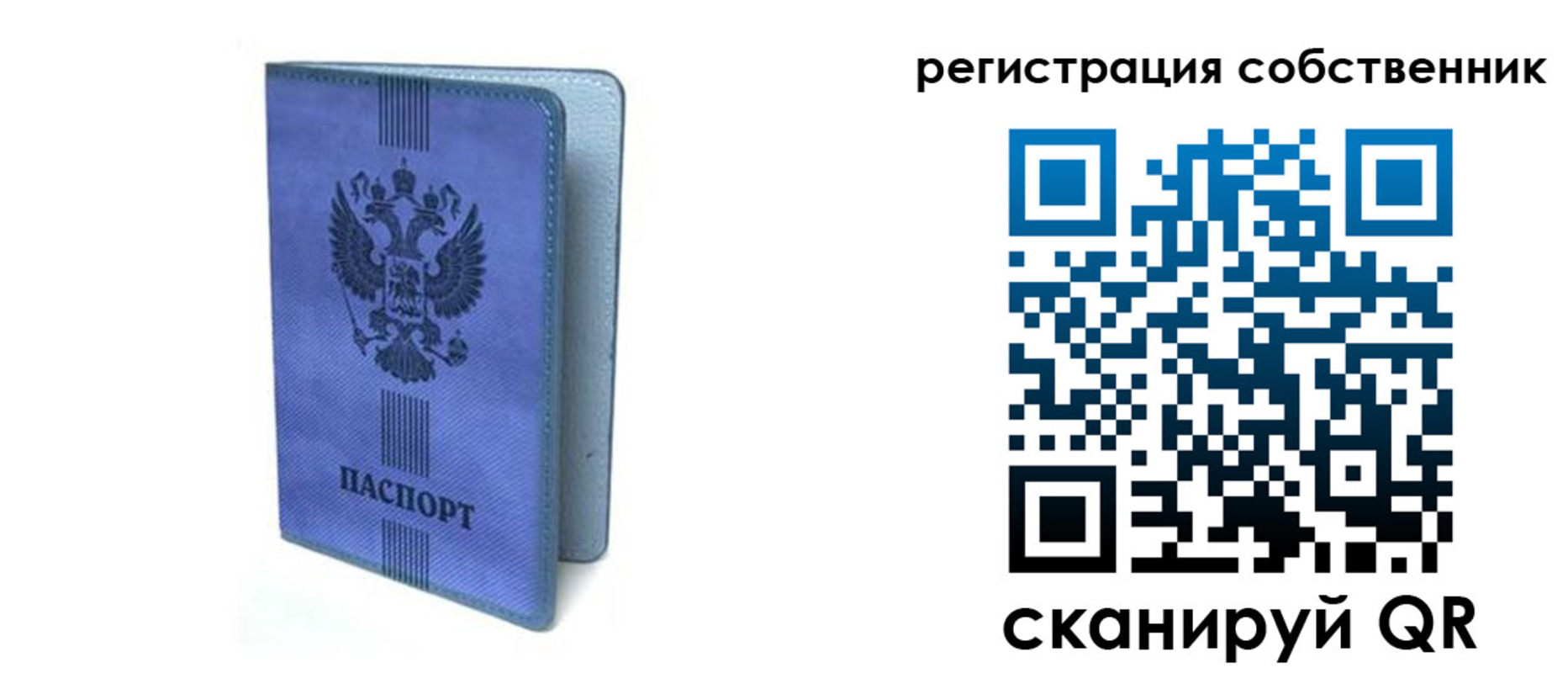 прописка 2025 в Ясногорске